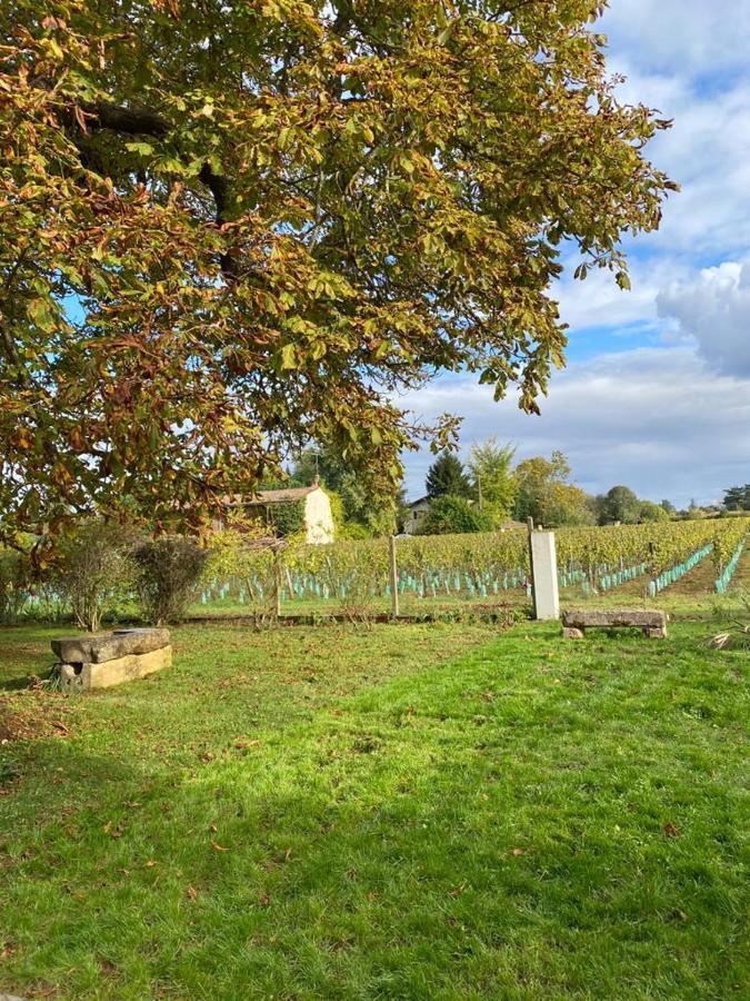 Bed and Breakfast Le Jardin Dans Les Vignes Barsac  Esterno foto