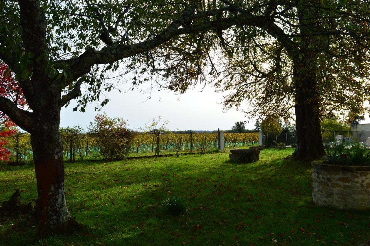 Bed and Breakfast Le Jardin Dans Les Vignes Barsac  Esterno foto