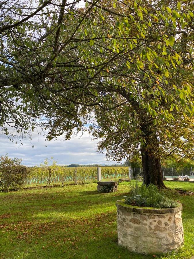 Bed and Breakfast Le Jardin Dans Les Vignes Barsac  Esterno foto