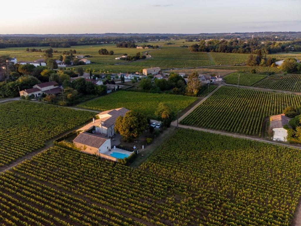 Bed and Breakfast Le Jardin Dans Les Vignes Barsac  Esterno foto