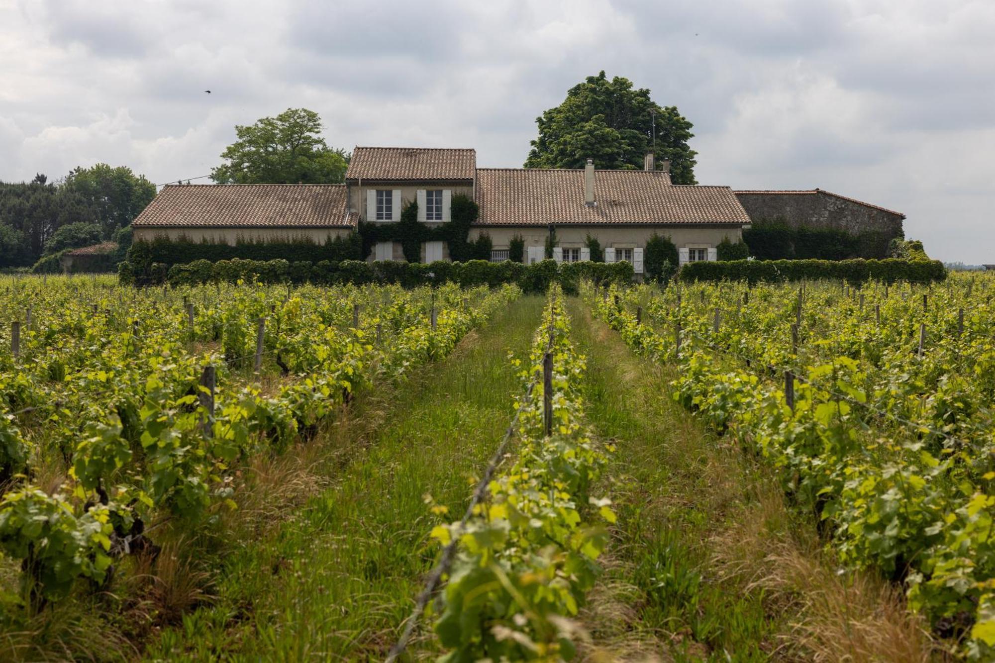 Bed and Breakfast Le Jardin Dans Les Vignes Barsac  Esterno foto